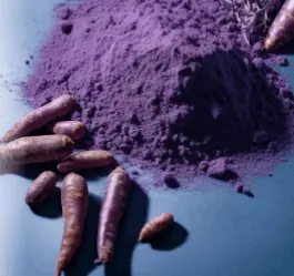 Purple Carrot Powder